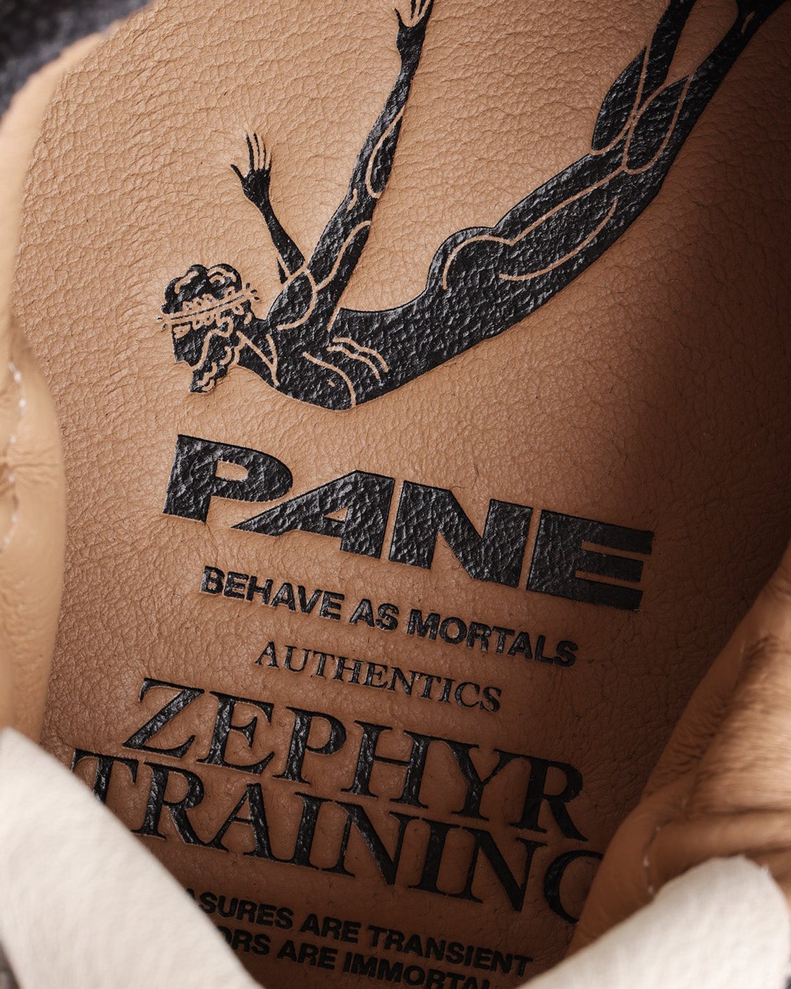 Zephyr Training Pouching Men’s Shoes – Analogue glitch
